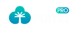 Puma Pro